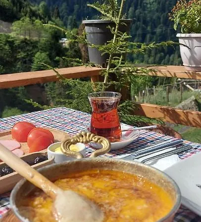 Yayla Chalet Ayder Yaylasi