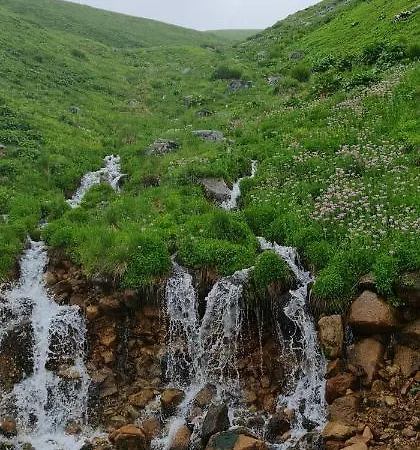 Yayla Ayder Yaylasi