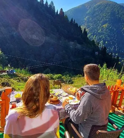 Yayla *