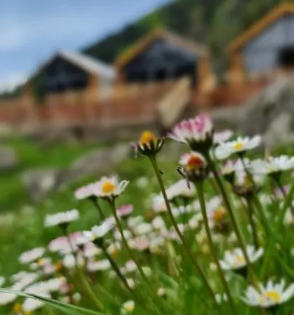 Yayla