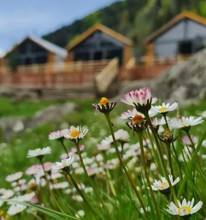 Chalet Yayla