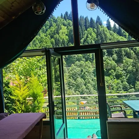 Yayla *